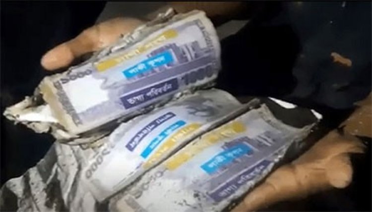 ডোবায় মাছ ধরতে গিয়ে পানির নিচে ৬৬ লাখ টাকা পেলেন