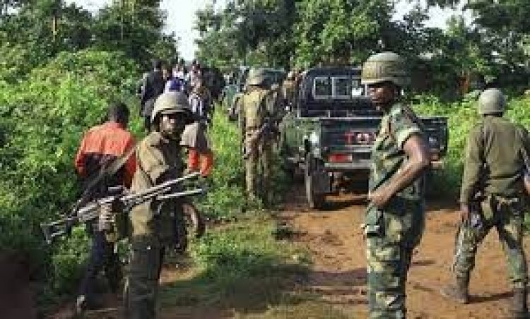 কঙ্গোতে বিদ্রোহীদের হামলায় নিহত ১২