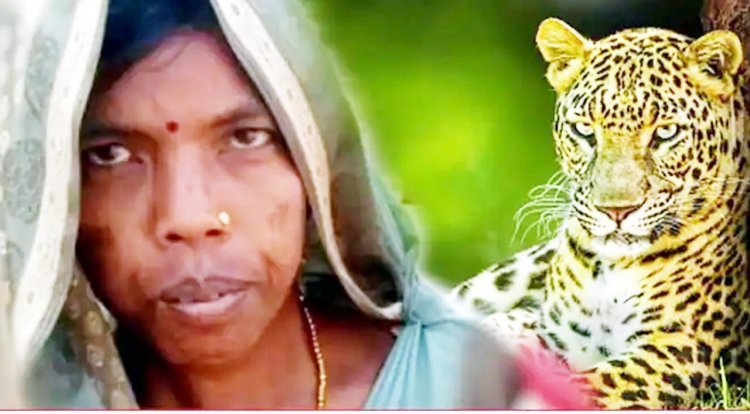 চিতাবাঘের মুখ থেকে ছেলেকে জীবন্ত ফিরিয়ে আনলেন মা