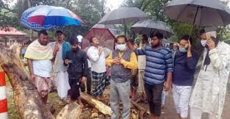 ব্রাহ্মণবাড়িয়ায় সড়কের পাশের মরা গাছ ভেঙে বৃদ্ধা নিহত