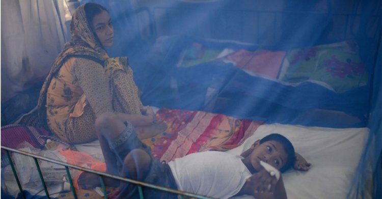 জাওয়াদের প্রভাবে বাড়তে পারে ডেঙ্গু, আশঙ্কা স্বাস্থ্য অধিদফতরের
