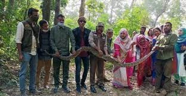 লোকালয়ে ধরা পড়লো ১৫ ফুট দৈর্ঘ্যের অজগর