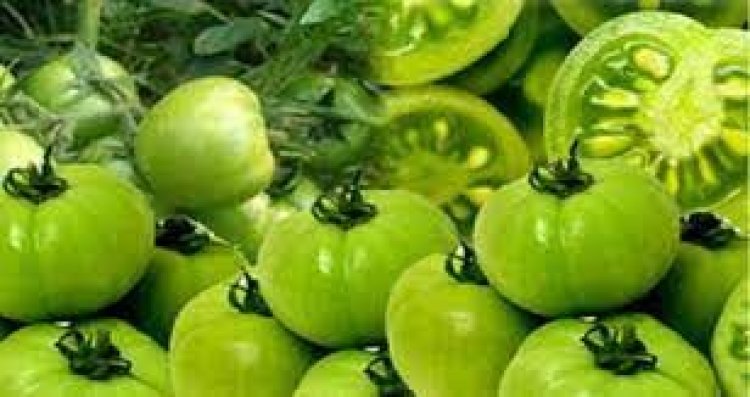 কাঁচা টমেটো খেলে কী হয়?
