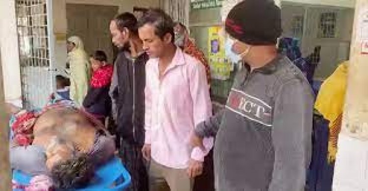নরসিংদীতে বড়ভাইয়ের ছুরিকাঘাতে ছোটভাই খুন