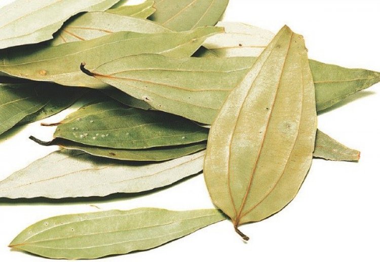 খুশকি থেকে ব্রণ, তেজপাতায় সমাধান