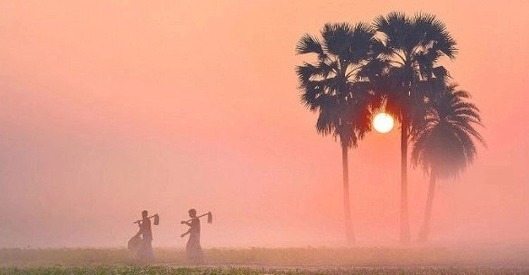 বিদায় নিলো মৌসুমের শেষ শৈত্যপ্রবাহ, আগামী সপ্তাহে বৃষ্টি