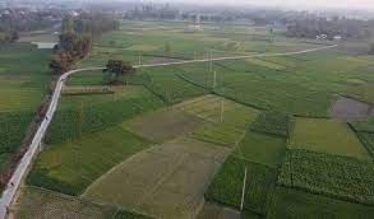 ঠাকুরগাঁওয়ে খাস জমি কিনে প্রতারিত ১৫০ পরিবার