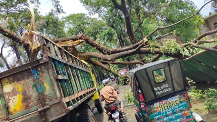 কালবৈশাখী ঝড়ে প্রাণ গেল ৭ জনের