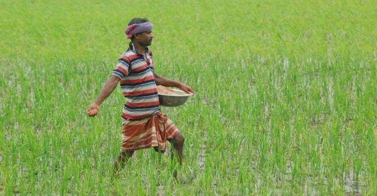 ‘সারের মূল্যবৃদ্ধি কৃষকের বিপদ আরও বাড়াবে’
