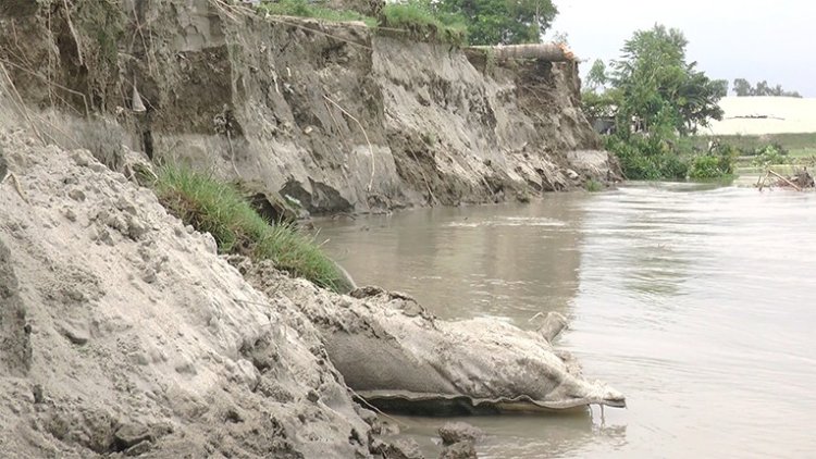 যমুনার ভাঙনে ভিটেমাটি হারিয়ে দিশেহারা মানুষ