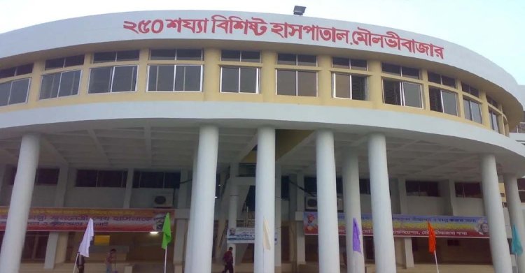 ছোট ভাইয়ের দায়ের কোপে প্রাণ গেল বড় ভাইয়ের
