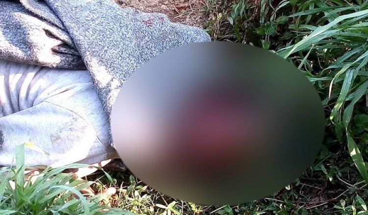 কুষ্টিয়ায় ফুল ব্যবসায়ীর গলাকাটা মরদেহ উদ্ধার