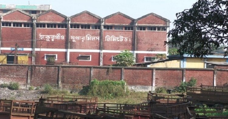 চিনিকলে ৭ কোটি টাকা লোকসানের বোঝা নিয়ে আখ মাড়াই শুরু
