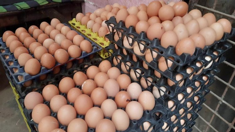 ডিমের বাজারে আবারও অস্বস্তি