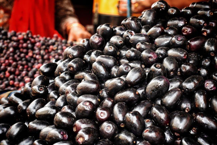 জাম খাওয়ার ৭ উপকারিতা জেনে নিন