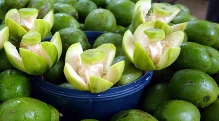 শরীর সুস্থ রাখতে আমড়া খান
