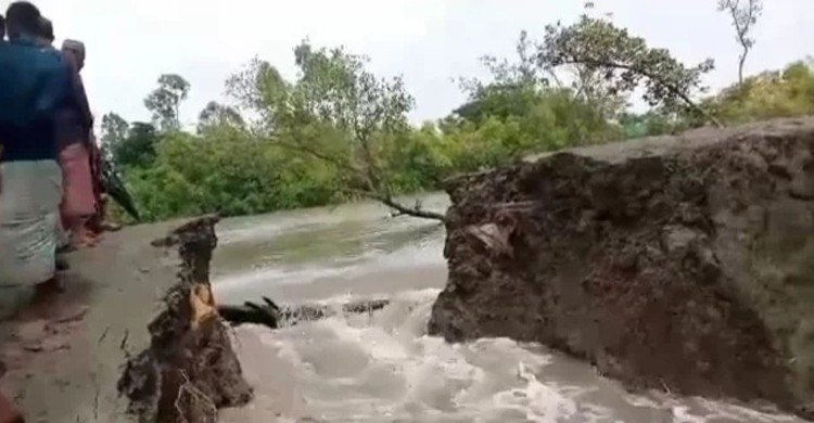 পেকুয়ায় বেড়িবাঁধ ভেঙে লোকালয় প্লাবিত