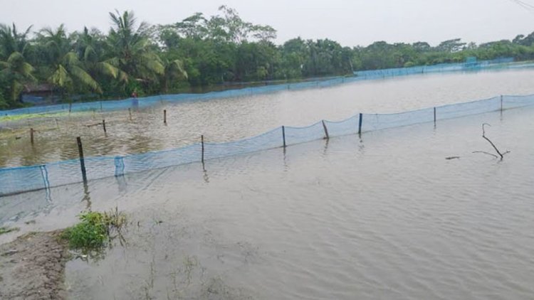 সন্ধ্যায় নিখোঁজ, পরদিন সকালে মাছের ঘেরে মিলল তিন ভাই-বোনের মরদেহ