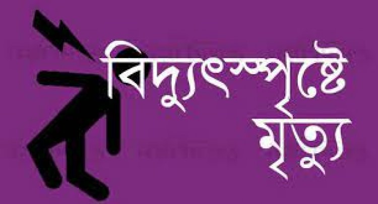 বিদ্যুতের তারে ঝুলছিল রংমিস্ত্রির মরদেহ