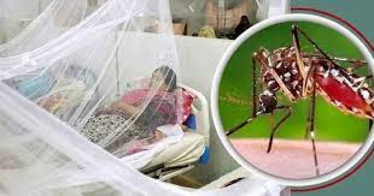 ডেঙ্গুতে একদিনে আরও ১২ জনের মৃত্যু, শনাক্ত রোগী ১ লাখ ৬১ হাজার ছাড়িয়েছে