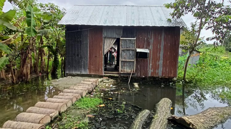ঘরে মশা বাইরে জমেছে পানি, শিশুদের নিয়ে শঙ্কায় বাবা-মা