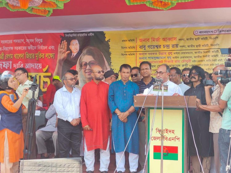 সরকারকে পদত্যাগে বাধ্য করে খালেদা জিয়াকে চিকিৎসার জন্য বিদেশে পাঠাবো: মির্জা আব্বাস