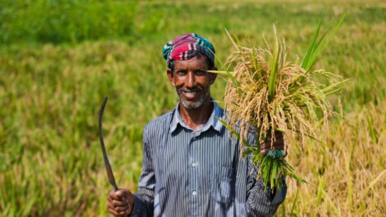 এবার ঢাকায় তিন লাখ কৃষক-কৃষাণী নিয়ে মহাসমাবেশ