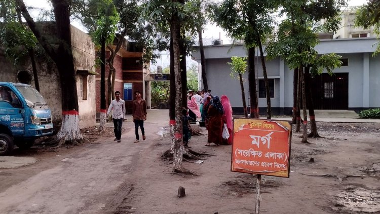 মাহফিলের বাঁশ কাটতে গিয়ে বিদ্যুৎস্পৃষ্টে শিক্ষার্থীর মৃত্যু