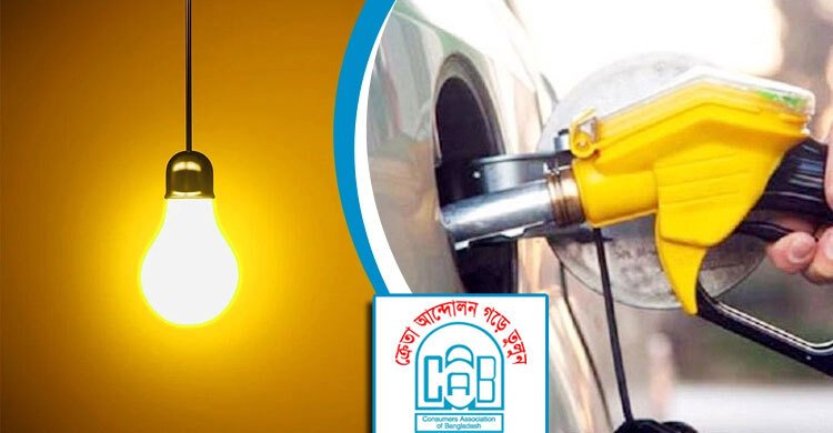 অসাধু ব্যবসায়ীদের সুরক্ষায় বিদ্যুৎ-জ্বালানির দাম বাড়ানো হচ্ছে; ক্যাব