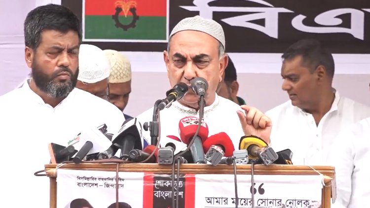 ক্ষমতায় এখন বর্গীরা: মির্জা আব্বাস