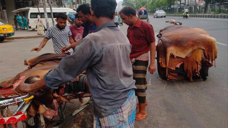 কাঁচা চামড়ার দাম কিছুটা বাড়লেও খুশি নন মৌসুমি ব্যবসায়ীরা