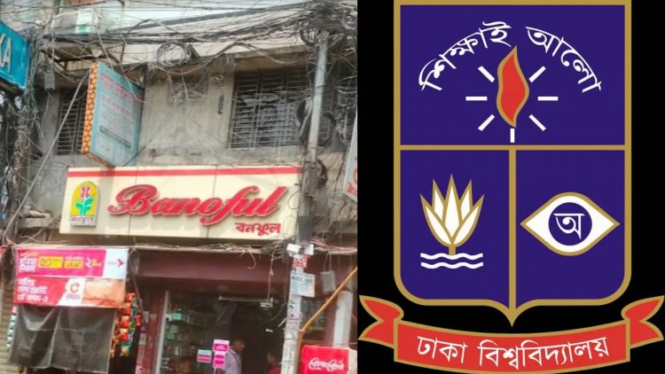 ঢাবিতে নবীনবরণের খাবার খেয়ে অসুস্থ অর্ধশতাধিক, সন্দেহে ‘বনফুলের’ পিঠা