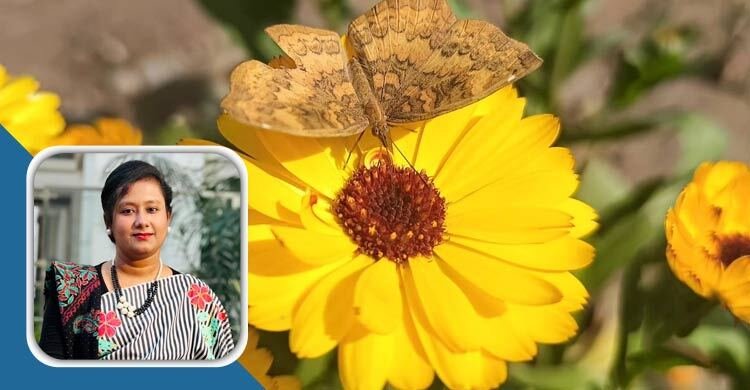 বসন্ত রাঙাবে প্রাণ, উড়বে ভালোবাসা