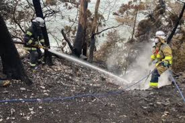 ৫০ বছরের মধ্যে জাপানে লাগা সবচেয়ে ভয়াবহ দাবানল নিয়ন্ত্রণে