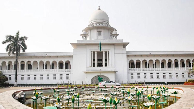 এমবিবিএস-বিডিএস ডিগ্রি ছাড়া নামের আগে ডাক্তার পদবি নয়,হাইকোর্টের রায়
