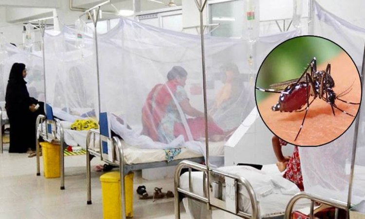 মার্চের তুলনায় এপ্রিলে ডেঙ্গুতে আক্রান্ত-মৃত্যু দ্বিগুণ